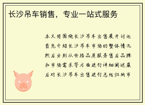 长沙吊车销售，专业一站式服务